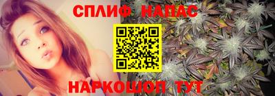 a pvp Гусь-Хрустальный